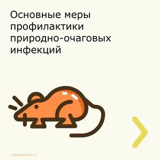 Природно-очаговые инфекции.